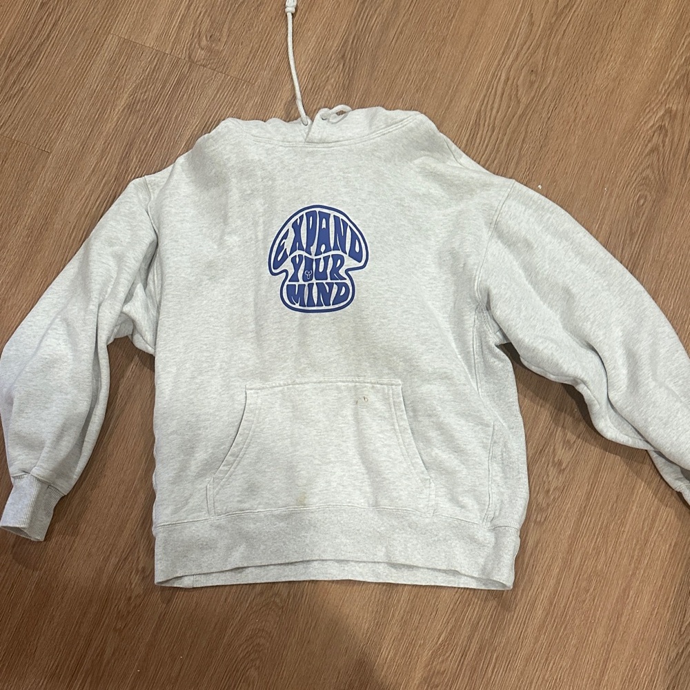 Aritzia TNA Gray Hoodie Expand Your Mind